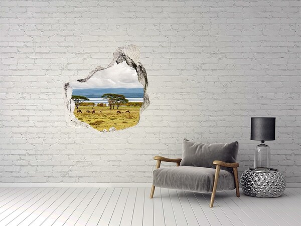 Fototapeta diera na stenu 3D Naivasha