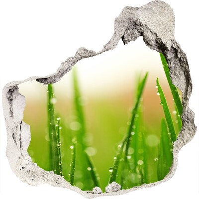 Samolepiaca diera na stenu Zelená lúka s kvapkami vody