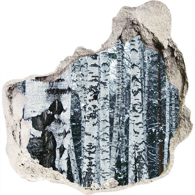 Nálepka fototapeta 3D výhľad Zimný brezový les