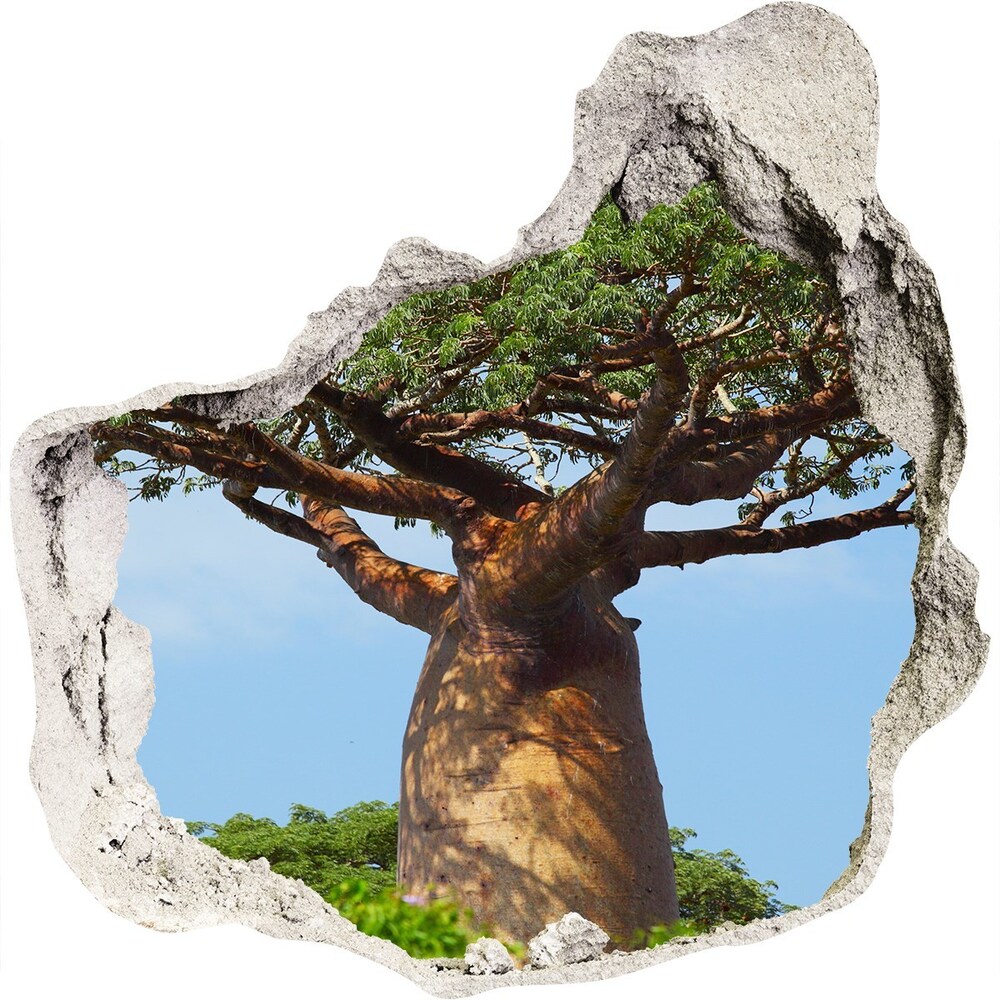 Diera 3D fototapety nálepka Baobab