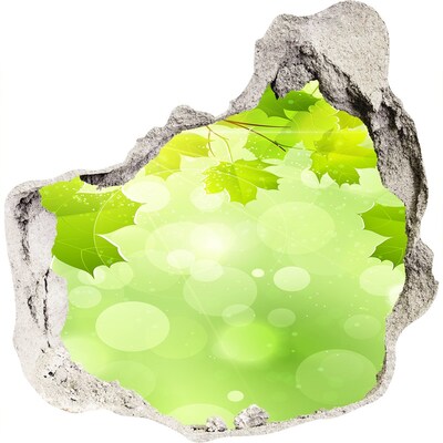 Nálepka fototapeta 3D Zelená oáza medzi listami