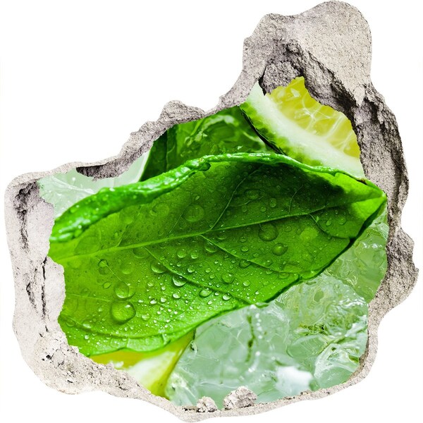 Samolepiaca diera nálepka Čerstvé lístky mäty na ľade