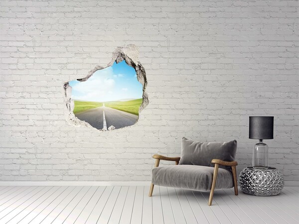 Fototapeta diera na stenu 3D Cesta cez lúku