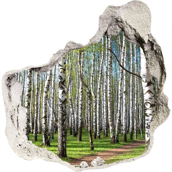 Fototapeta diera na stenu 3D Brezového lesa