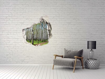 Fototapeta diera na stenu 3D Brezového lesa