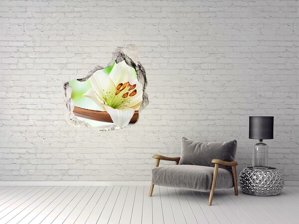 Diera 3D fototapety na stenu Kvetinová oáza v betóne