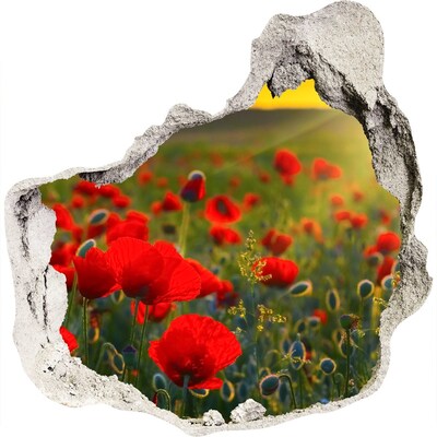 Fototapeta diera na stenu 3D Kvetinový raj v stene