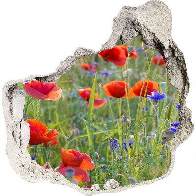 Nálepka 3D diera betón Poľné kvety