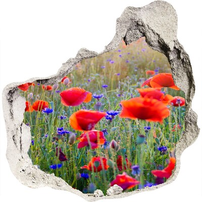 Foto fotografie diera na stenu Poľné kvety