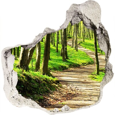 Foto fotografie diera na stenu Lesný chodník na slnku