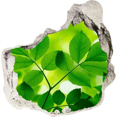 Diera 3D fototapety nálepka Zelená oáza v betóne