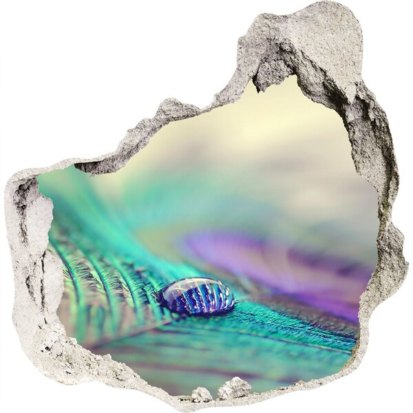 Foto fotografie diera na stenu Kvapka na pávím perí