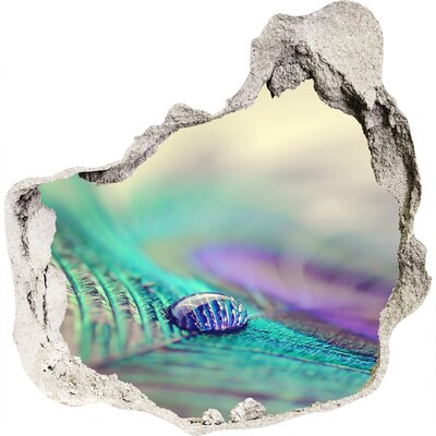 Foto fotografie diera na stenu Kvapka na pávím perí