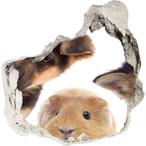 Fotoobraz diera na stenu Zvieratá spoza múru