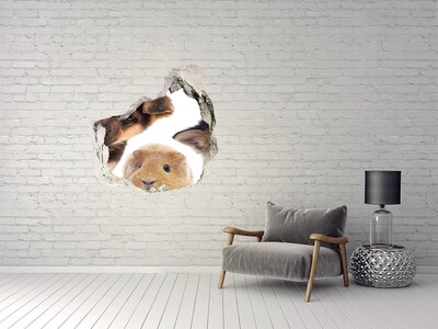 Fotoobraz diera na stenu Domáce zvieratá