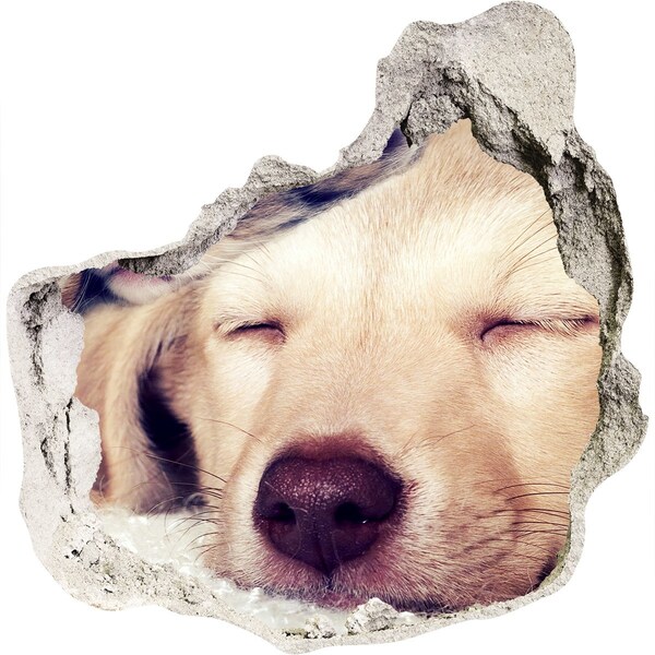 Nálepka fototapeta 3D výhľad Roztomilý pes v diere v stene