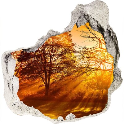 Diera 3D fototapety nálepka Zlaté lúče slnka v lese