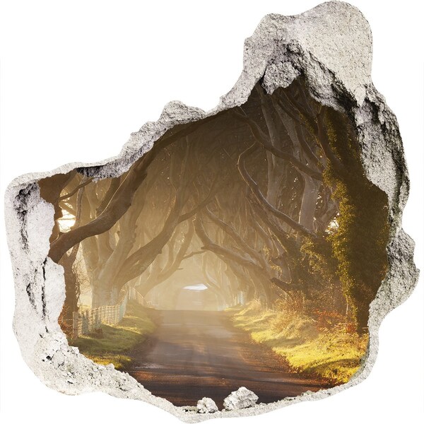 Díra 3D ve zdi nálepka Cesta medzi stromami