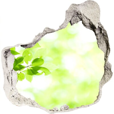 Samolepiaca diera na stenu Zelený raj za múrom