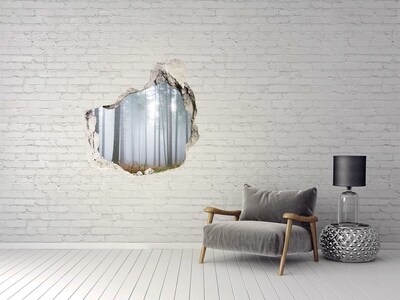 Fototapeta diera na stenu 3D Hmlistý les