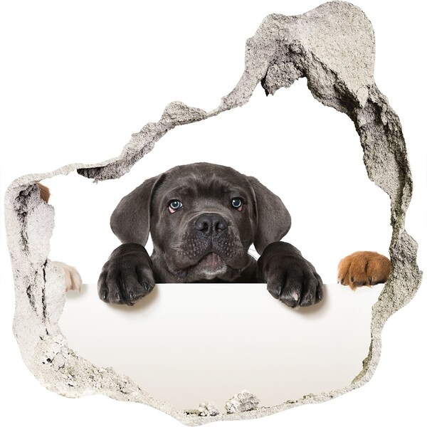 Samolepiaca nálepka Milé šteniatko spoza steny