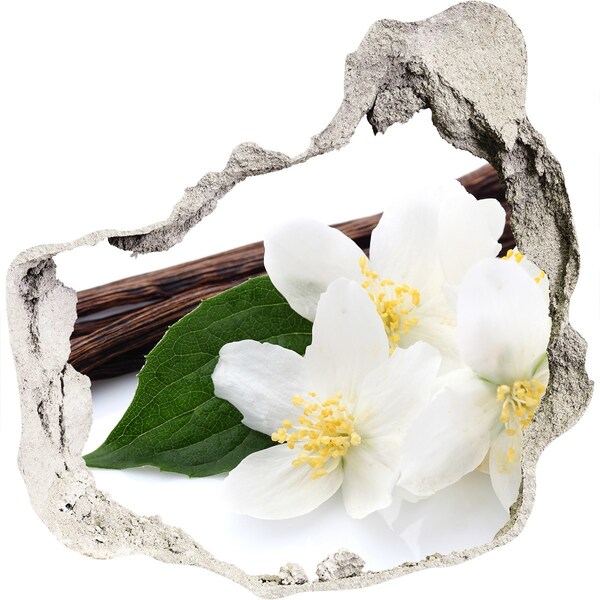 Diera 3D fototapety nálepka Jazmínové kvety v betóne