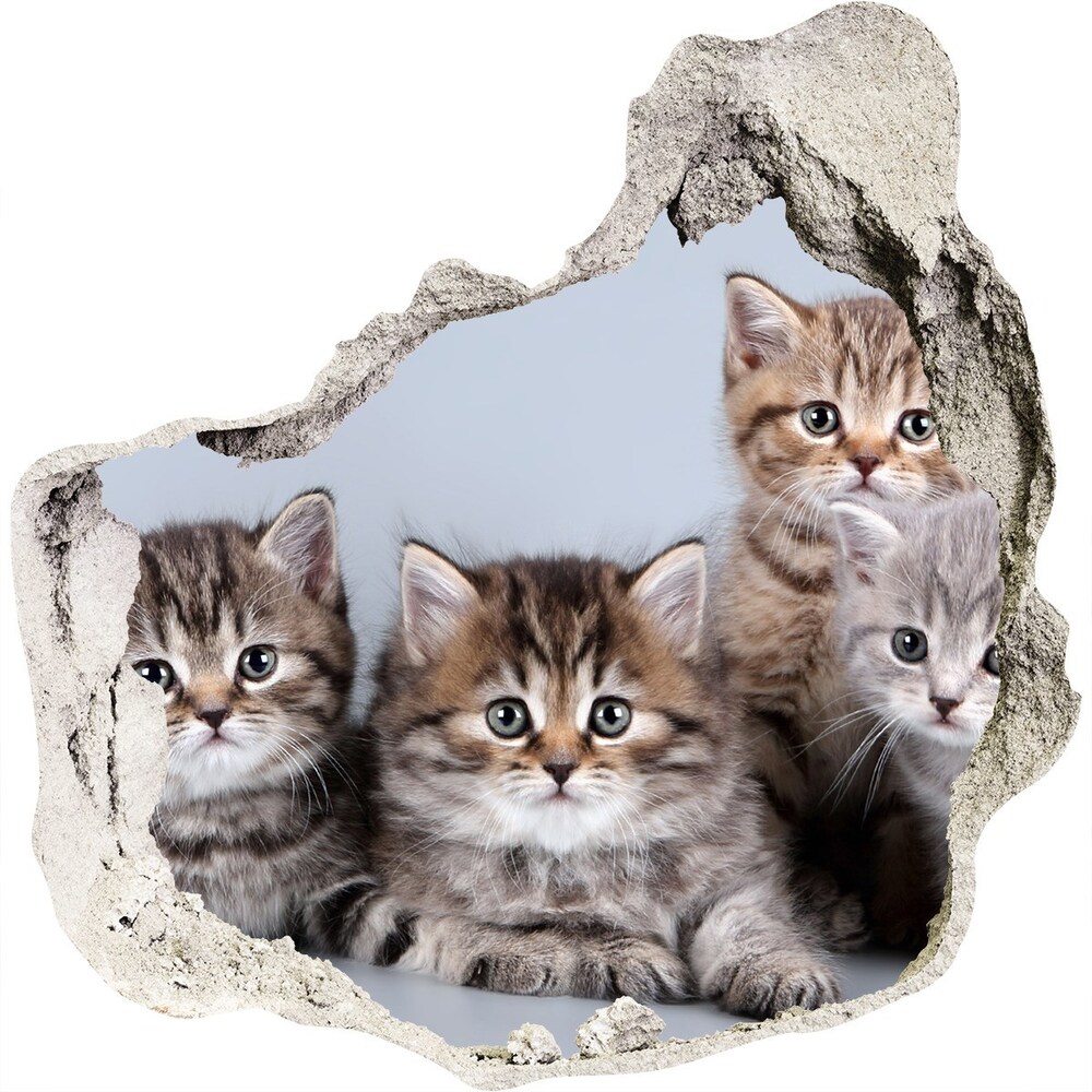 Fototapeta diera na stenu 3D Päť mačiek