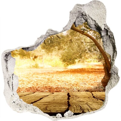 Fototapeta diera na stenu 3D Záhrada na slnku