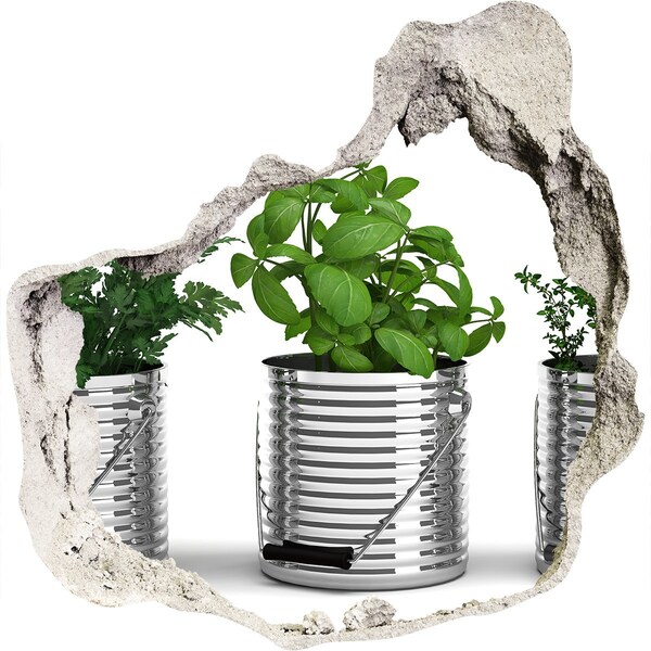 Samolepiaca nálepka betón Zelená záhrada v kovových kvetináčoch