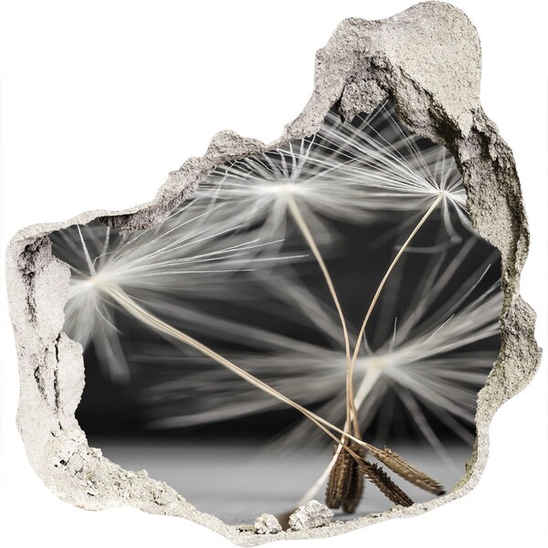 Fotoobraz diera na stenu Kvety púpavy v betóne