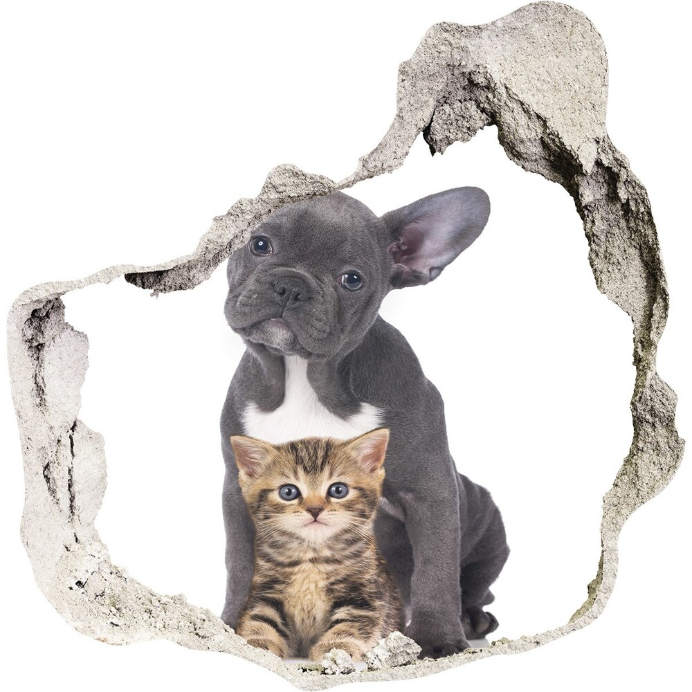 Samolepiaca diera na stenu Pes a mačka