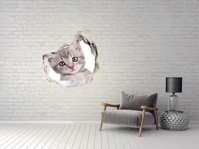 Fototapeta diera na stenu Sivá mačka