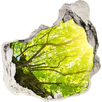 Nálepka 3D diera na stenu Zelený les v slnečných lúčoch