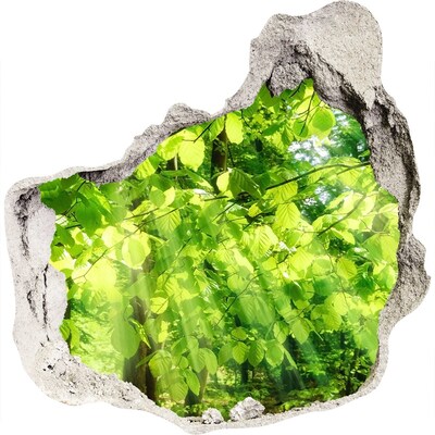 Foto fotografie diera na stenu Zelený les v slnečných lúčoch