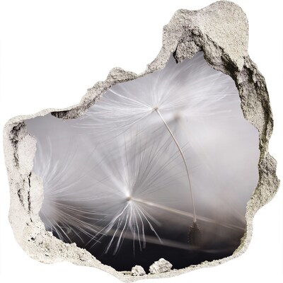 Diera 3D fototapety nálepka Púpavy v betóne