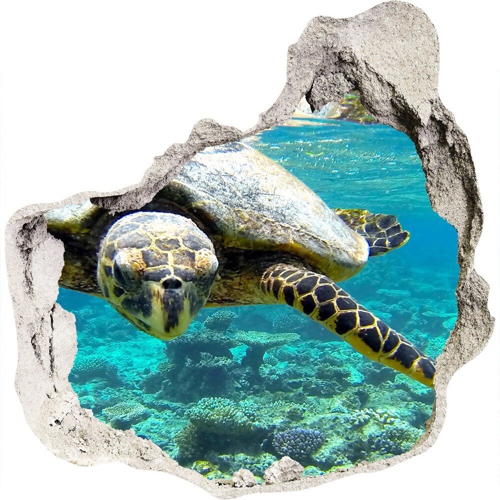 Fototapeta diera na stenu Morská korytnačka