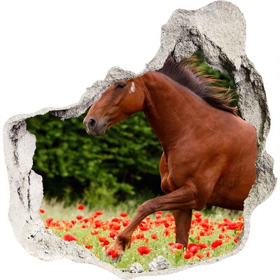 Fotoobraz diera na stenu Kôň v poli maku