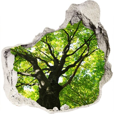 Samolepiaca diera nálepka Zelený les v diere v stene