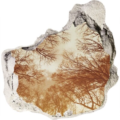 Fotoobraz diera na stenu Odraz stromov v zničenej stene