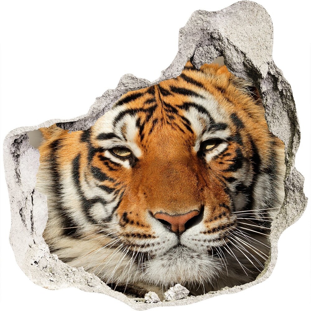 Nálepka diera na stenu Tiger bengálsky