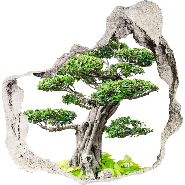 Diera 3D fototapety nálepka Bonsai strom