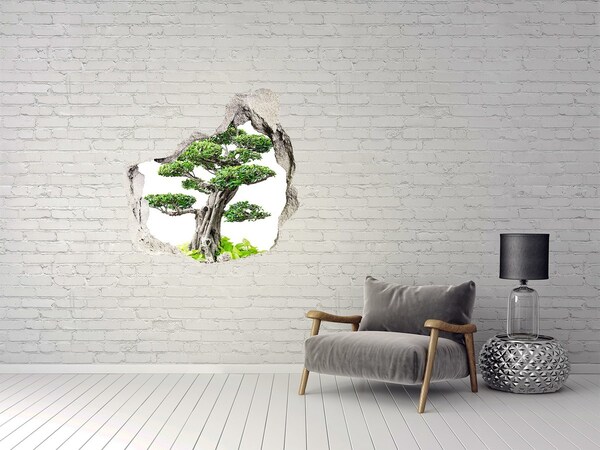 Diera 3D fototapety nálepka Bonsai strom