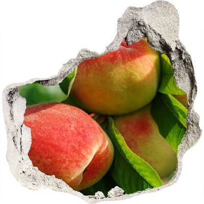 Diera 3D fototapety nálepka Jabloňový sad