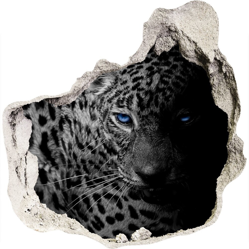 Fototapeta diera na stenu Leopard