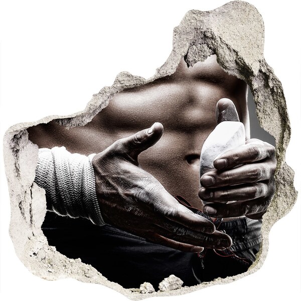 Diera 3D fototapety nálepka Šampión v bojových umeniach