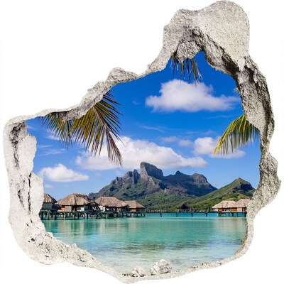 Foto fotografie diera na stenu Palmy na bora bora