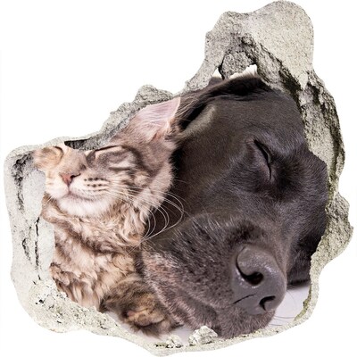 Diera 3D fototapety nálepka Mačky a psy