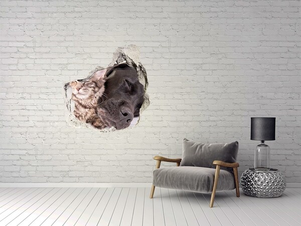 Diera 3D fototapety nálepka Sladká chvíľka priateľstva