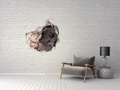 Diera 3D fototapety nálepka Sladká chvíľka priateľstva