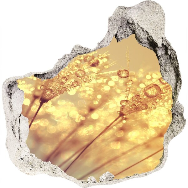 Diera 3D fototapety nálepka Zlaté lúky v slnečnom svetle